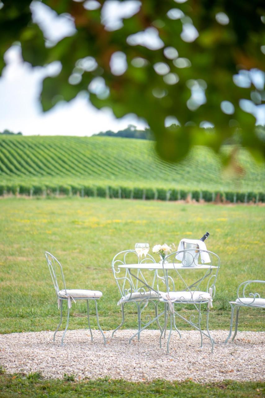 L' Ecrin Des Vignes Bed and Breakfast Sermiers Buitenkant foto