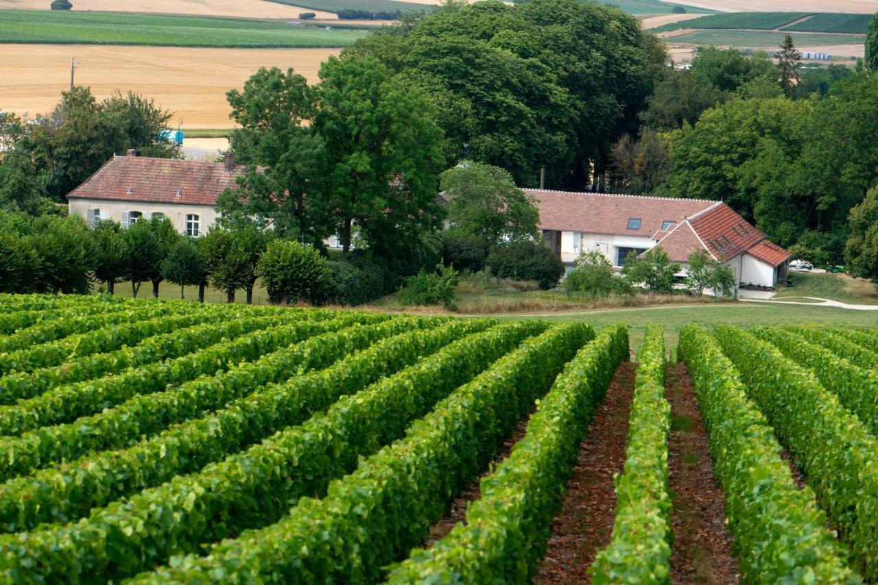 L' Ecrin Des Vignes Bed and Breakfast Sermiers Buitenkant foto